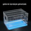 Gaiola de Reprodução de Gaiola de Papagaio Gaiola de Criação Galvanizada Gaiola de Criação com Porta de Reprodução Gaiola de Aves Negrito Atacado Gaiola
