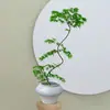 Plantas de interior de escritorio Liuchuanfeng para salas de té, plantas verdes de inspiración zen, bonsáis de nuevo estilo chino, plantas en maceta decorativas para vestíbulos y oficinas