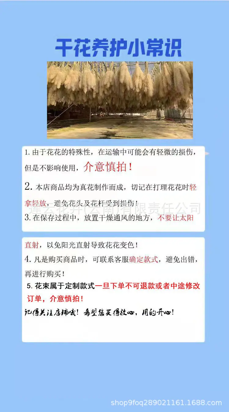 详情页.jpg