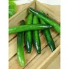 Modelo de pepino de simulación Rodajas de pepino gordo Fruta de pepino verde Gabinete de frutas y verduras Decoración para transmisión en vivo de cocina Accesorios Juguetes para casa de juegos