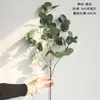 Flores Artificiales Nórdicas, Hojas de Eucalipto, Hojas de Dinero, Hojas de Ginkgo, Plantas Decorativas para el Hogar, Flores Artificiales de Pared