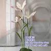 Flores de Papel Gradiente Flor Estrela Adereços de Casamento Guia de Corredor Flores para Palco de Casamento Decoração de Loja de Fotografia Flores de Papel Gradiente Arte em Papel