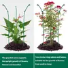 Jaula de Protección para Orquídeas Transfronteriza, Amarilis, Lirio, Soporte para Plantas Verdes, Estante Circular de Hierro Multicapa Anticaídas