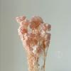 Flores de Mijo Conservadas Blancas, Flores de Mijo Secas, Venta al por Mayor desde Fabricante, Materiales para Uñas Hechas a Mano DIY