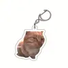 Llavero Acrílico Gato Banana Feliz Gato Feliz Transfronterizo Llavero Emoji Cabeza de Gato Comida Divertido