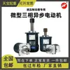 Motor Asíncrono Trifásico Micro Jiaozuo Xiangshan Nanyang Nanzhao YDT/ASF 60W80W Freno de Impulso