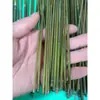 Cañas de bambú pequeñas frescas ultrafinas hoja de bambú fina verde arco de Erhu juguetes para niños jardín de infantes DIY cañas de bambú pequeñas