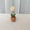 Flor de Crochet Simulada en Maceta Pequeña Decoración de Flores Regalo Creativo Adorno Adorno Pequeño Lindo