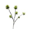 Flores artificiais e plantas verdes: flores artificiais de castanha d'água artificiais de 6 cabeças em haste única e frutas artificiais de castanha d'água
