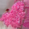 Múltiples Tipos de Lentejuelas, Brillantina de Colores de Forma Irregular, Accesorios Decorativos con Pegamento Multicolores, Polvo de Brillantina Láser de Estrella de Cinco Puntas para Manualidades