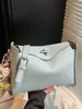Bolso Sencillo y Elegante Estilo Coreano para Mujer, Bolso Cruzado de Hombro Casual Verano 2025 con Patrón de Lichi de Alto Valor