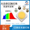 6-60W espectro completo COB lámpara perla planta luz de relleno fotografía luz de relleno simulación luz solar alta potencia cobLED perla de lámpara