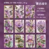 Dia Lindo Material Papel Série Memórias de Jardim Tema Plantas Materiais para Diário 30 Folhas em 6 Designs