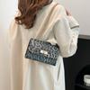 Bolsa de estampa de leopardo da moda feminina 2024, nova chegada, corrente, tudo combina, bolsa de ombro estilosa, bolsa transversal, pequena bolsa quadrada