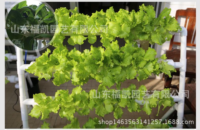 22#-50#定植篮详情页_20