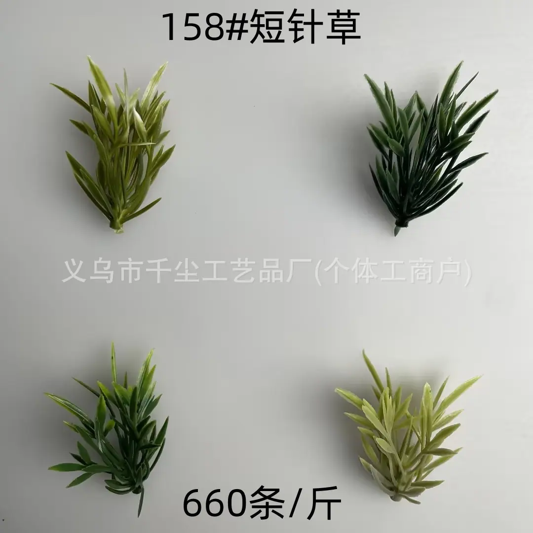 158#短针草.jpg