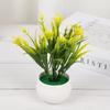 Simulación Narciso Planta Verde Maceta Ins Protección Ambiental Decoración Interior de Ventana Decoración de Recepción Adornos Bonsái de Planta Verde Venta al por Mayor