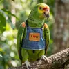 Coleira Arnês para Papagaio Guia Arnês de Passeio para Pássaros Calopsita Periquito Agapornis Roupa de Voo Roupa de Voo