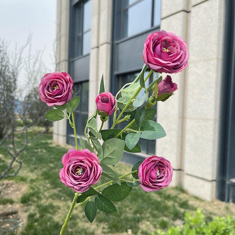 6头花蕊小玫瑰-sxlzjx-紫红.JPG