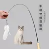 Vara Telescópica para Provocar Gatos com Cabo de Madeira e Cabeça de Reposição com Sino, Retrátil para Provocar Gatos, Auto-Prazer Interativo, Artefato para Alívio do Tédio, Suprimentos para Pets