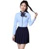 Camisa Azul de Trabalho para Mulheres para Salão de Beleza Primavera e Outono do Fabricante, Não Amassa, Antirrugas, Camisa Profissional de Manga Longa, Uniforme para Recepção de Hotel