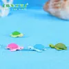 Micropaisaje de musgo, material de bricolaje, joyería ecológica embotellada, tortuga de cuatro colores, decoración con vista al mar