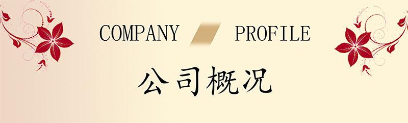 公司概况.jpg