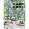 Botella Ecológica Plantas Hidropónicas Suculentas Florero Planta Verde de Interior Decoración Taza Volcán DIY Tejido de Ratán Hecho a Mano Puro Hecho a Mano