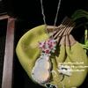 Collar de gemas de calabaza de calcedonia blanca congelada con lichi, collar de calabaza de circón con hoja muerta bañada en oro transparente de 18 quilates.