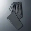 Calça Jogger Gelo Seda Artística Tendência Estilo Japonês com Zíper Moda Harajuku Versátil Fina Longa para Comércio Exterior