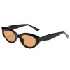Lentes de Sol Retro de Montura Pequeña Ojo de Gato, Protección Solar, Protección UV, Lentes de Sol de Alta Gama, Fotografía Callejera, Lentes de Sol de Tendencia de Moda