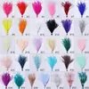 Pluma Wenshu ahora vendida con borde crudo, asa para corbata, accesorios para faldas, ropa, sombreros, encaje, 1 atado de 10 cm de lana