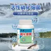 Bactérias Nitrificantes Fish-Yao São Especializadas para Aquicultura, Usadas para Reduzir Nitrogênio Amoniacal e Nitrito, Purificar a Qualidade da Água e Regular Agentes de Purificação de Água de Tanques de Peixes