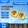 Lâmpada UV LED 3535Uvb 310Nm Lâmpada para Escorpião Réptil Suculenta Lagarto Tartaruga Fonte de Luz Suplemento de Cálcio