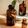 Jarrón de Vidrio Marrón Vintage Estilo Ins Nórdico Transparente Marrón Arreglo Floral Hidropónico Recipiente para Flores Frescas Decoración