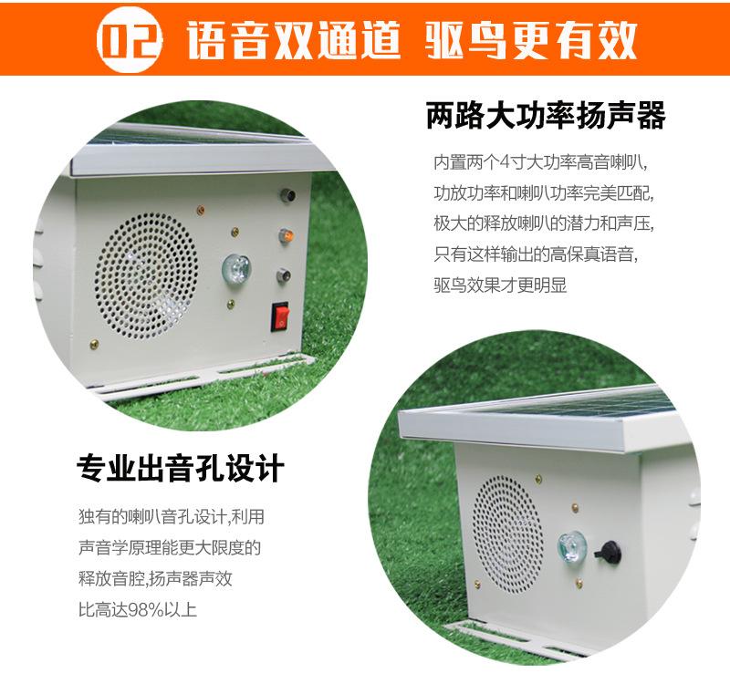 详情_06