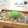 Flores Artificiais, Suculentas, Gadgets Criativos para Paisagismo, Suprimentos para Parede de Plantas, Plantas Verdes Artificiais, Fornecimento Direto da Fábrica, Dropshipping Transfronteiriço
