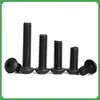 Tornillos de Cabeza Redonda Hexagonal de Acero Inoxidable 304 Tornillos de Cabeza Semi-Redonda Hexagonal Tornillos y Pernos Recubiertos de Zinc Negro
