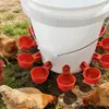 Bebedouro Automático para Frangos, Comedouro de Água para Patos, Alimentador Automático de Água para Granjas de Aves, Novo Tipo de Bebedouro para Aves