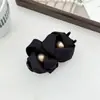 Presilha Grande para Cabelo em Formato de Nuvem para Aumentar o Volume, Prendedor de Cabelo Feminino, Presilha Banana, Ferramenta para Penteado, Novo Modelo 2026 com Acabamento Premium