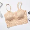 Nuevo sujetador tipo top sin tirantes cruzado en el pecho para niña, espalda descubierta, de encaje, sexy, con almohadilla en el busto, ropa interior deportiva