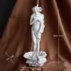 Decoraciones Sencillas Nórdicas de Estatua de la Diosa Venus Entrada del Hogar Sala de Arte Boceto Artesanías de Resina Adornos