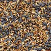 Comedero para pájaros de exterior, Comedero semiautomático para balcones de exterior, Comedero para pájaros colgante para jardines, Bebedero para pájaros silvestres