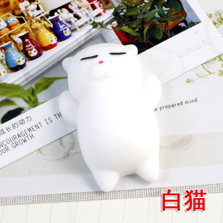 白猫.jpg