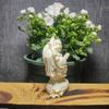 Buda Maitreya Bodhisattva tallado en fruta de marfil, Buda Maitreya gratis, 9,5 x 5,2 x 3,7, caja de regalo para decoración del hogar, venta al por mayor