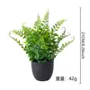 Venda Quente Transfronteiriça Planta de Simulação Planta Falsa Planta Verde Decoração de Interior e Exterior Eucalipto de Vaso de Plástico Pequena Planta de Vaso