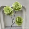 Plantas Verdes Artificiais para Casamento, Grama Aspargo Verde Estilo Floresta, Flores Artificiais Verdes, Materiais Florais Artificiais para Casamento, Série de Decoração para Salão de Casamento