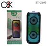 Bt-2409 Áudio Sem Fio Bluetooth Alto Volume Duplo 4 polegadas Altifalante Portátil para Exterior Altifalante de Karaoke com Microfone