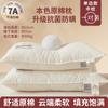 Categoría a Almohada Maternal e Infantil, Núcleo de Almohada para la Columna Cervical para Ayudar a Dormir, Dormitorio de Estudiantes, Hotel Masculino, Par Doméstico Bajo Individual