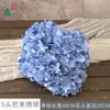 Simulação Hortênsia Comércio Exterior 5 Cabeças Arranjo Hortênsia Hortênsia Francesa Estilo Quente Base para Casamento Hortênsia Flor Artificial Atacado